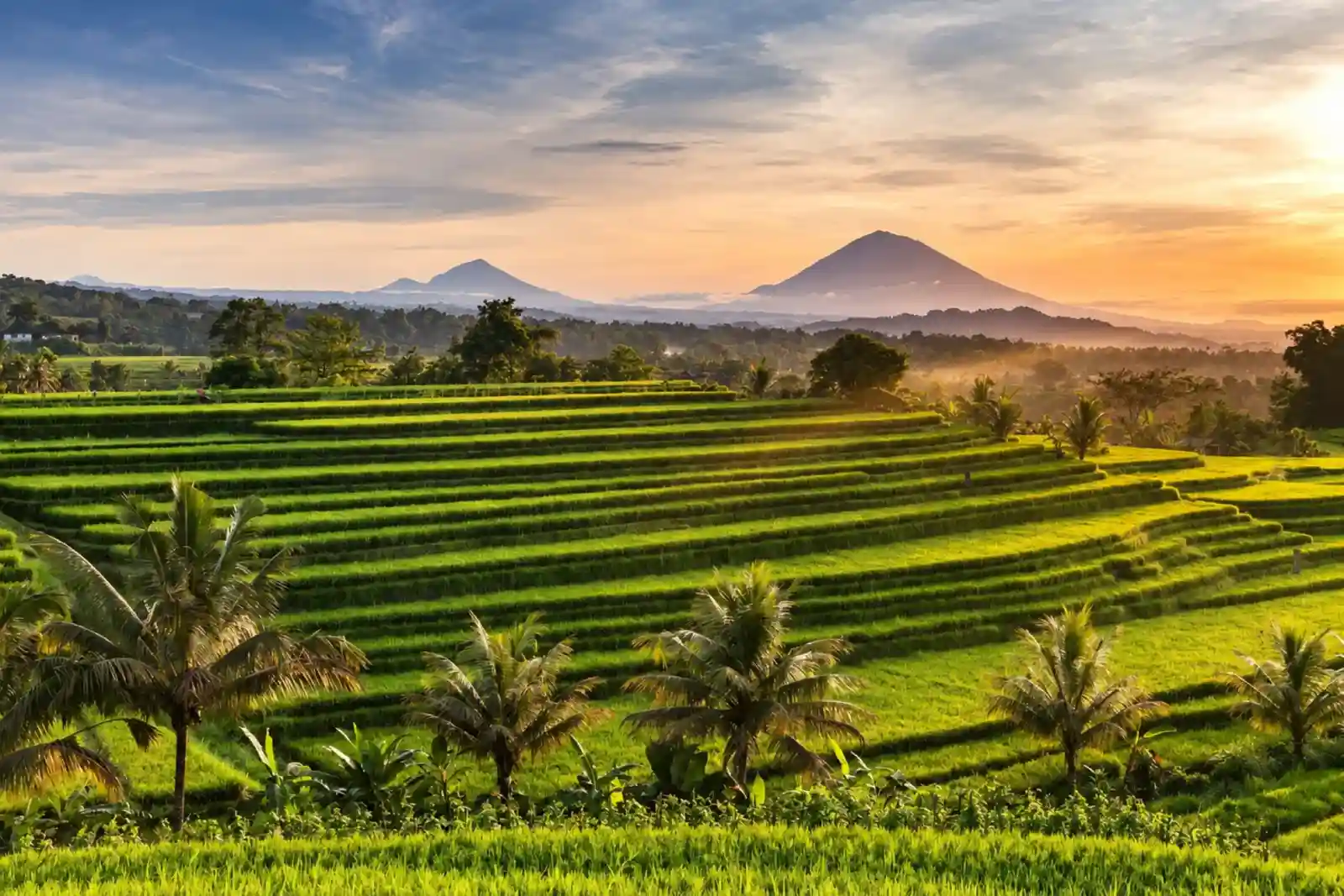 Terasering sawah Jatiluwih menuruni lereng bukit dalam cahaya keemasan
